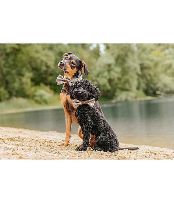 Fliege Tribal Love f�r Hunde