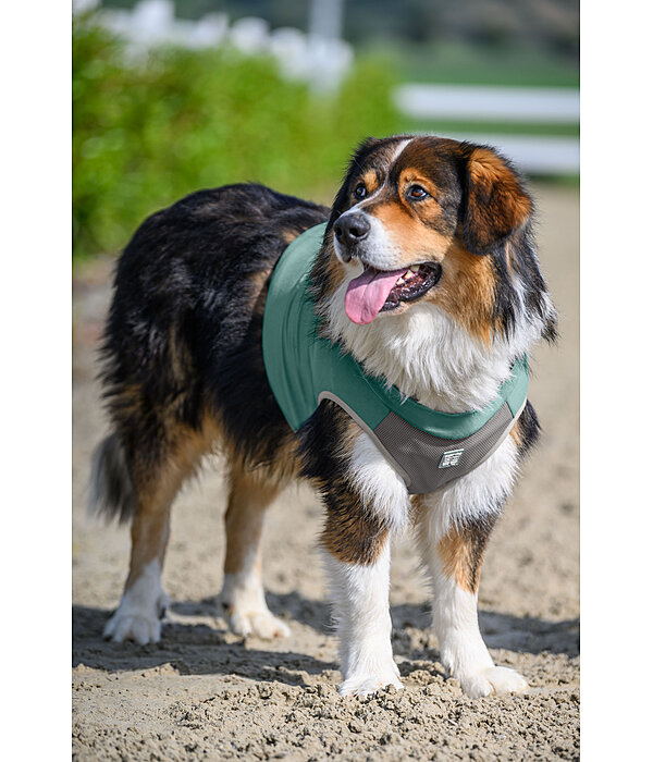 K�hl-Weste Refresh f�r Hunde
