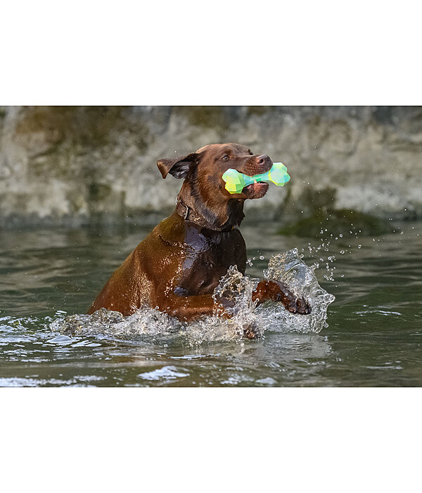 Wasser-Hundespielzeug Marble Bone
