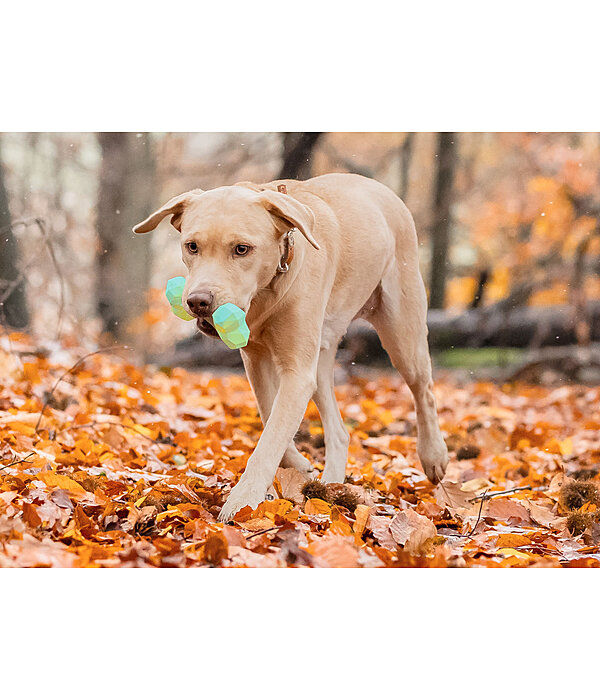 Wasser-Hundespielzeug Marble Bone