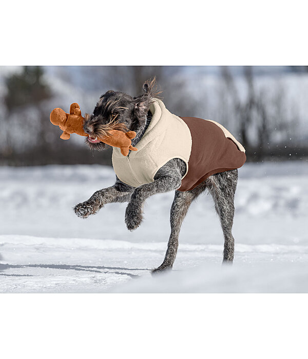 Hundespielzeug Jasper