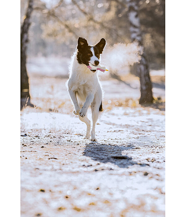 Hundespielzeug Unicorn mit Quietsche