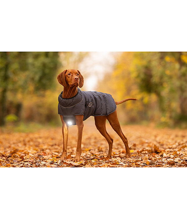 LED-Hunde-Steppjacke Arlo, 300 g