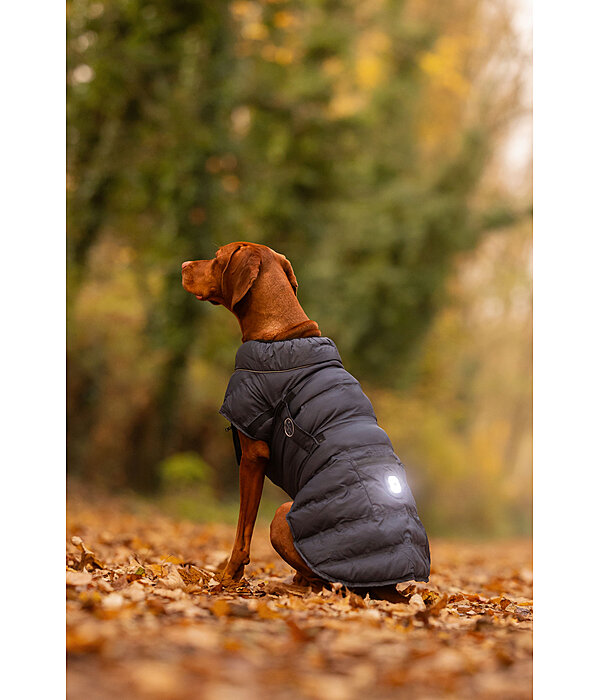 LED-Hunde-Steppjacke Arlo, 300 g