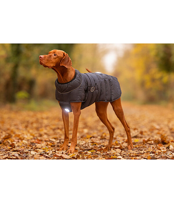 LED-Hunde-Steppjacke Arlo, 300 g