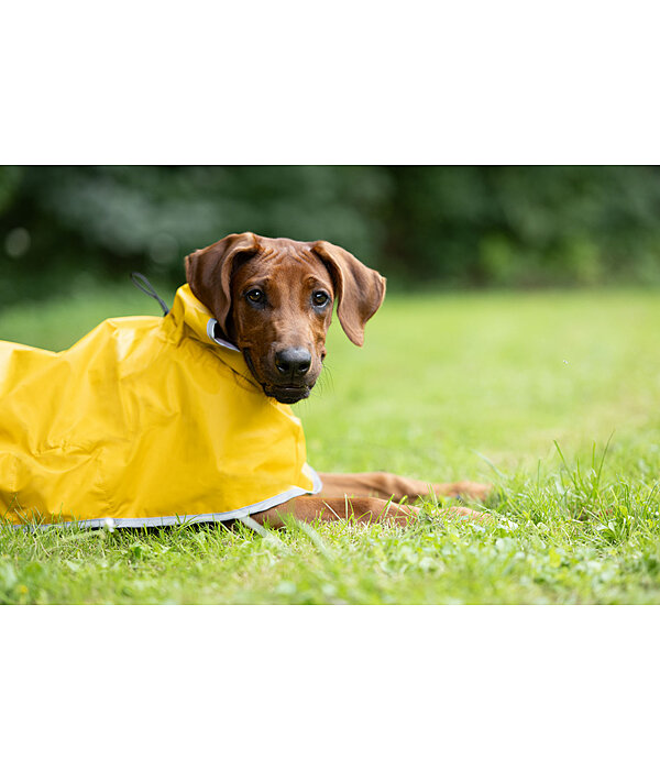 Hunde-Regenmantel Thousand Islands, 0 g