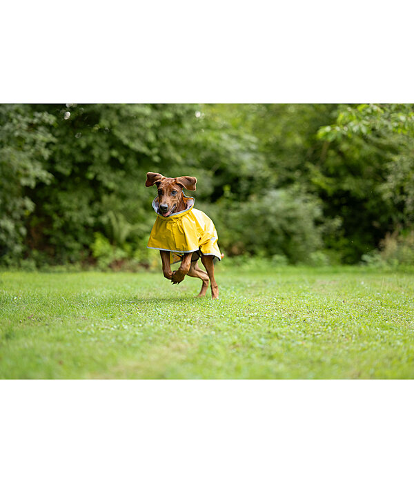 Hunde-Regenmantel Thousand Islands, 0 g