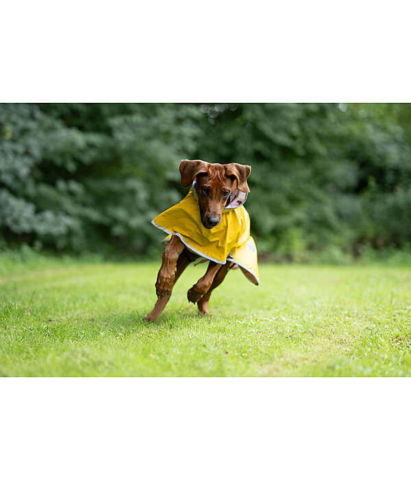 Hunde-Regenmantel Thousand Islands, 0 g