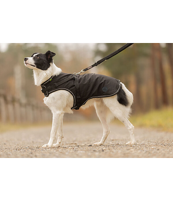 Softshell-Hundemantel Cruz mit integriertem Geschirr, 160 g
