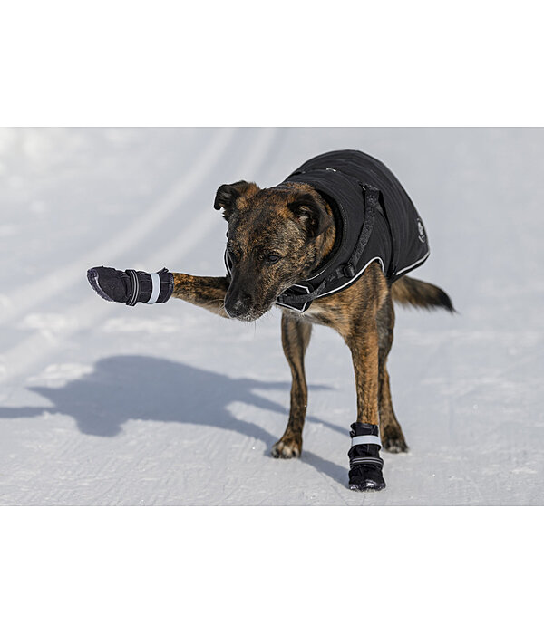 Pfotenschutz-Schuhe Antarctica f�r Hunde
