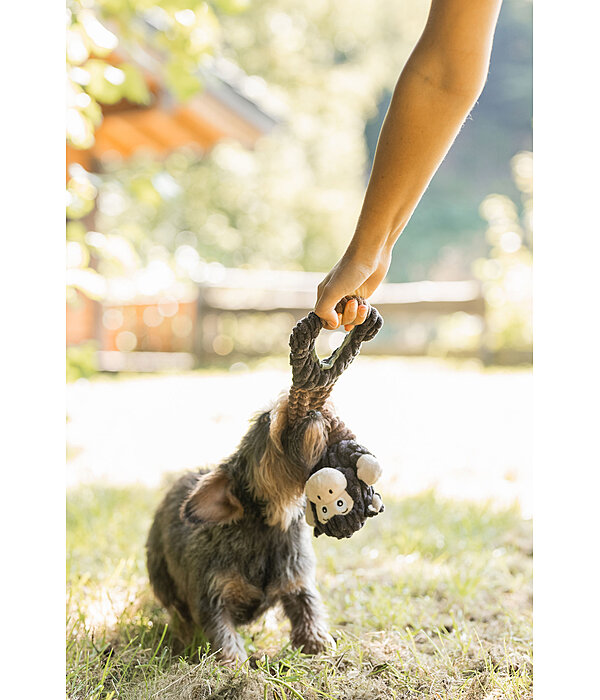 Hundespielzeug Bounce