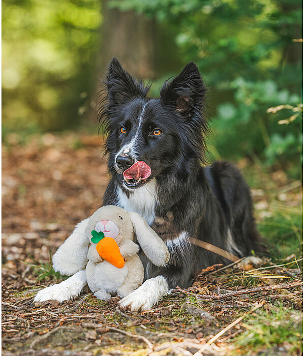 Hundespielzeug Bunny