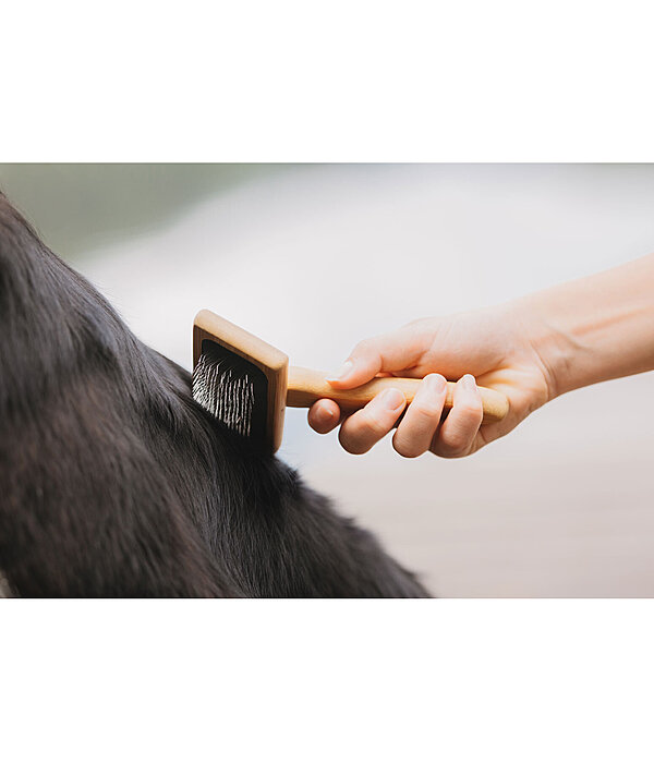Hunde-Zupfb�rste Woody