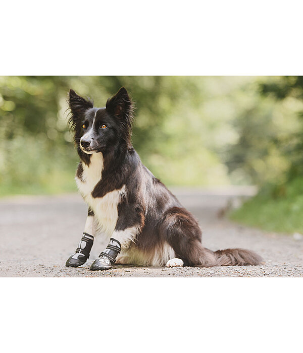 Pfotenschutz-Schuhe Dubai f�r Hunde
