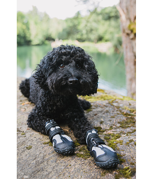 Pfotenschutz-Schuhe Dubai f�r Hunde