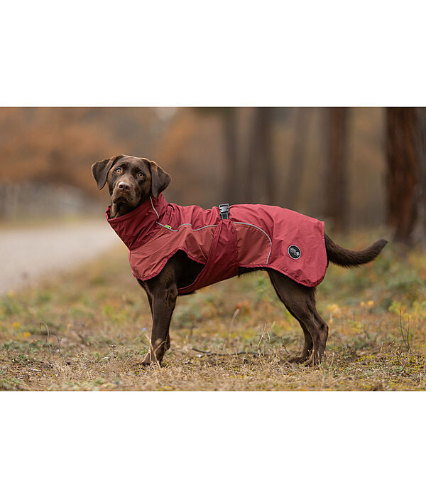 Lightweight Hunde-Regenmantel  Alma, 0 g