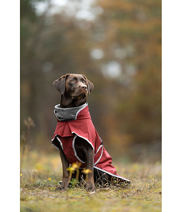 Softshell-Hundemantel mit Fleecekragen Frida