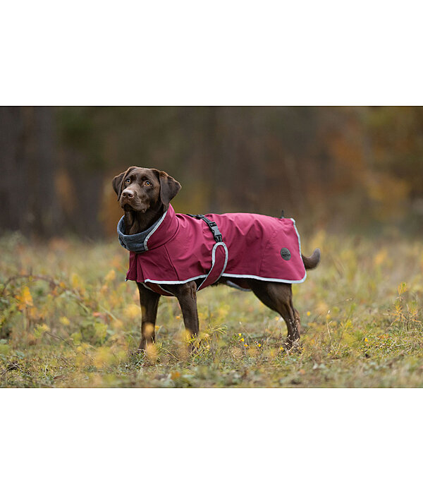 Softshell-Hundemantel mit Fleecekragen Frida