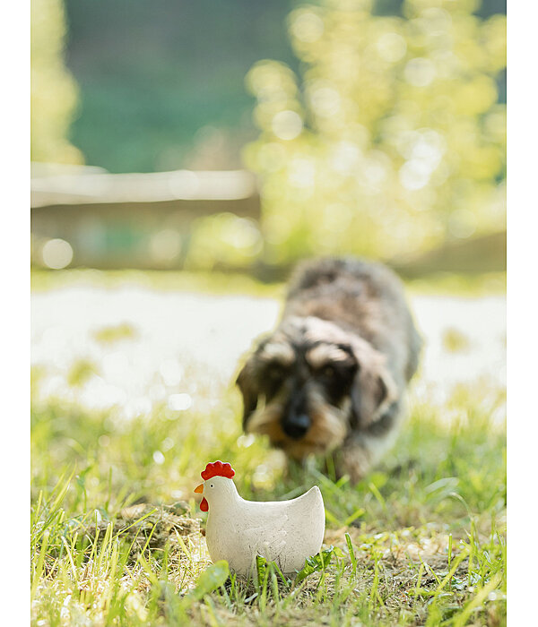 Hundespielzeug Chicken mit Quietsche