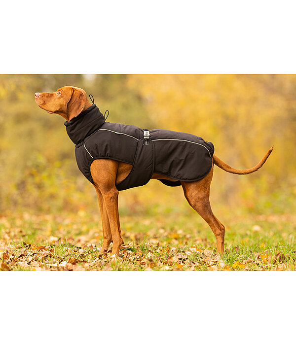 Winter-Hundemantel Marlon, 200-300 g