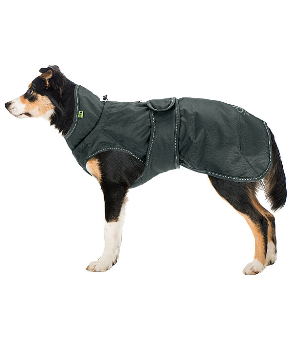 Hunde-Regenmantel Forest Drizzle, 50 g