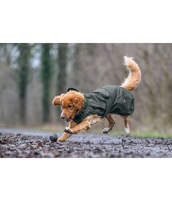 Hunde-Regenmantel Forest Drizzle, 50 g