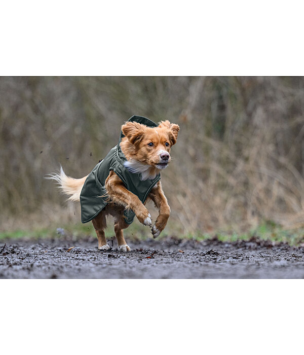 Hunde-Regenmantel Forest Drizzle, 50 g