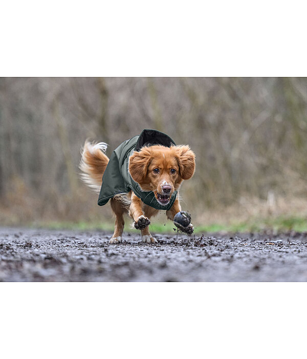 Hunde-Regenmantel Forest Drizzle, 50 g