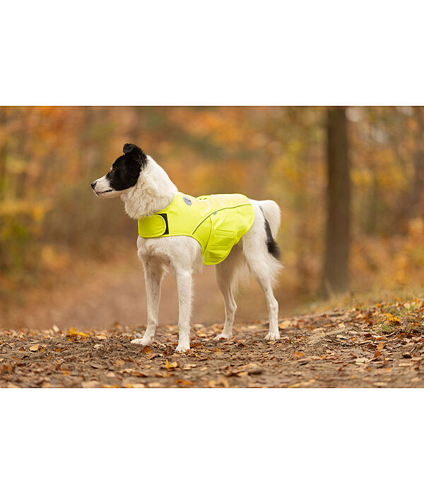 Reflex-Sicherheitsweste f�r Hunde