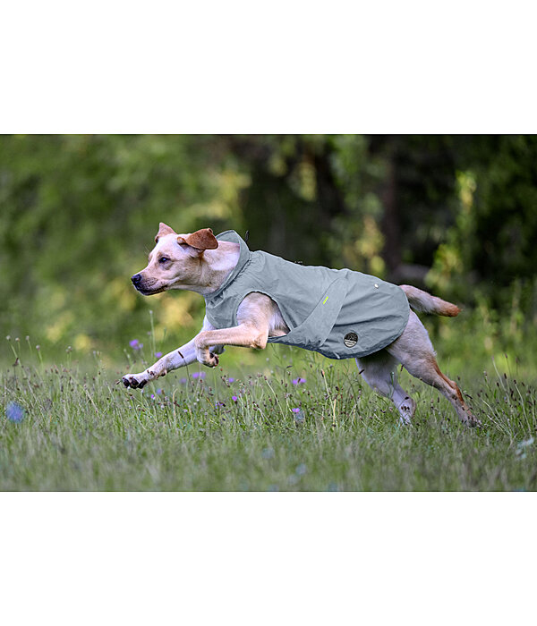 reflektierender Regenmantel f�r Hunde To Go