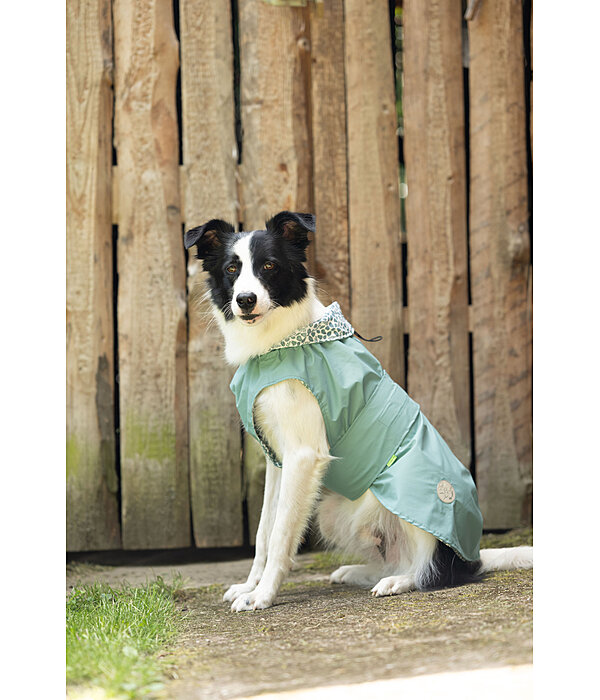 Hunde-Regenmantel Emmi, 0 g