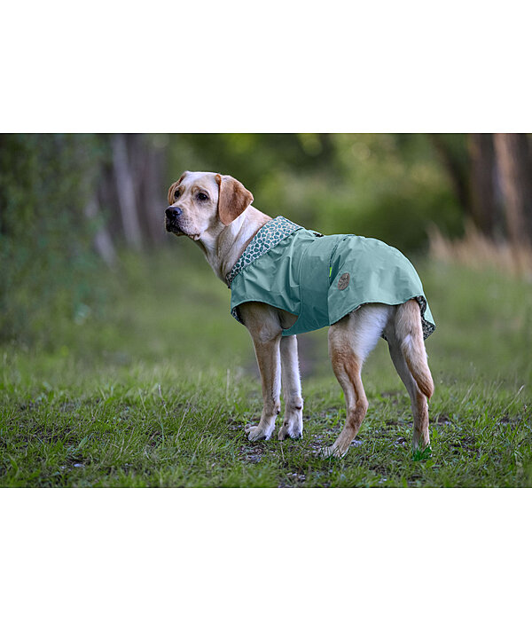Hunde-Regenmantel Emmi, 0 g