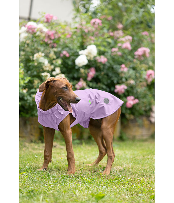 Hunde-Regenmantel Emmi, 0 g