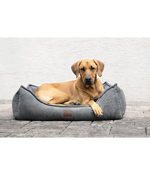 Hundebett Cord