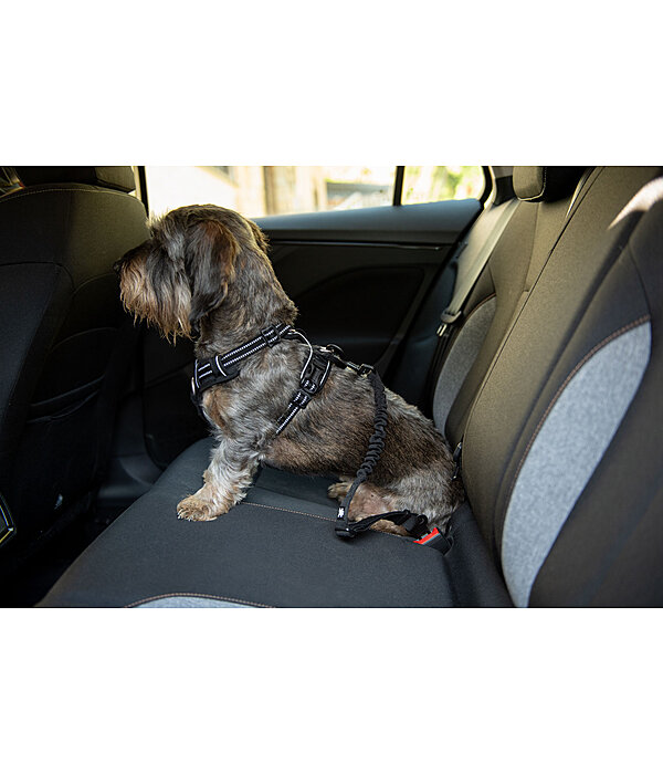 Sicherheitsgurt f�r Hunde