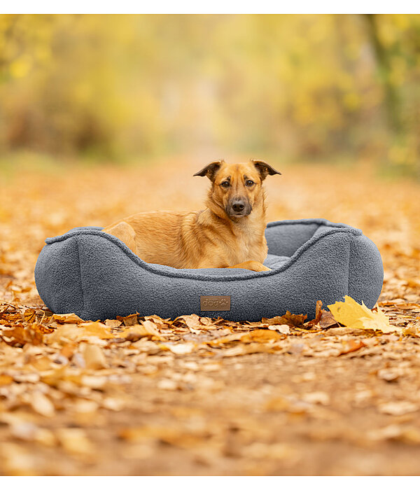 Hundebett Square