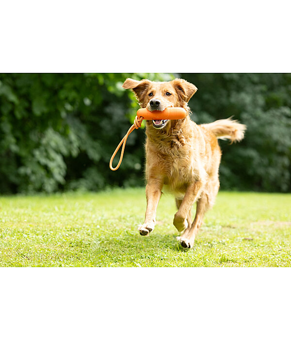 schwimmender Hunde-Wasserdummy
