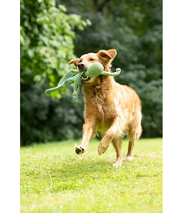 Hundespielzeug Octopus