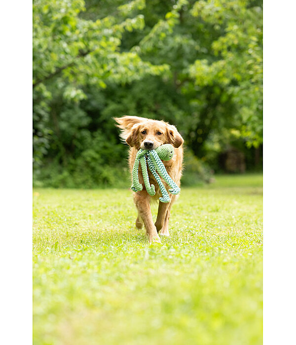 Hundespielzeug Octopus