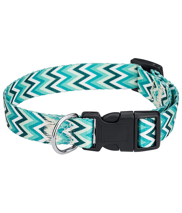 Halsband und Leine Set Zap