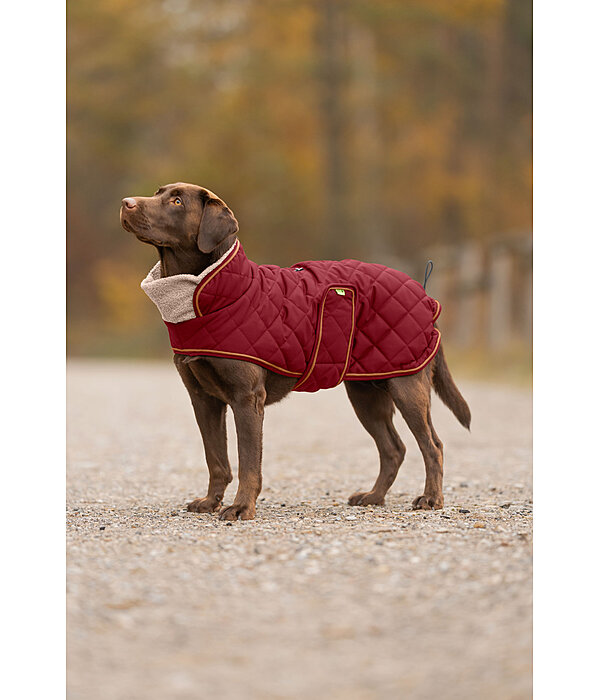 Stepp-Hundemantel mit Teddyfleece-F�tterung Holly