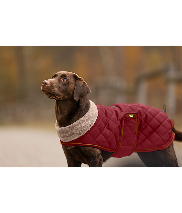 Stepp-Hundemantel mit Teddyfleece-F�tterung Holly