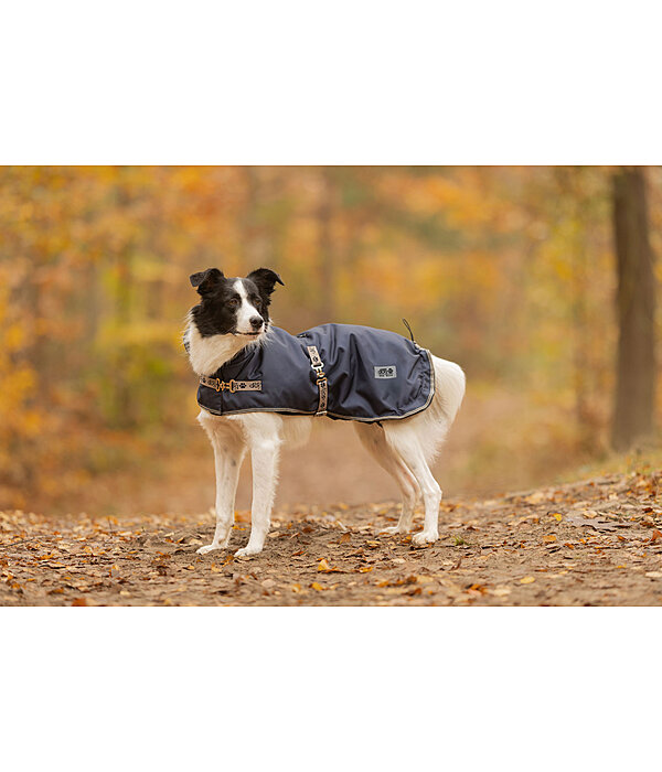 Hundemantel mit Liner-System Northwood, 60 - 220 g