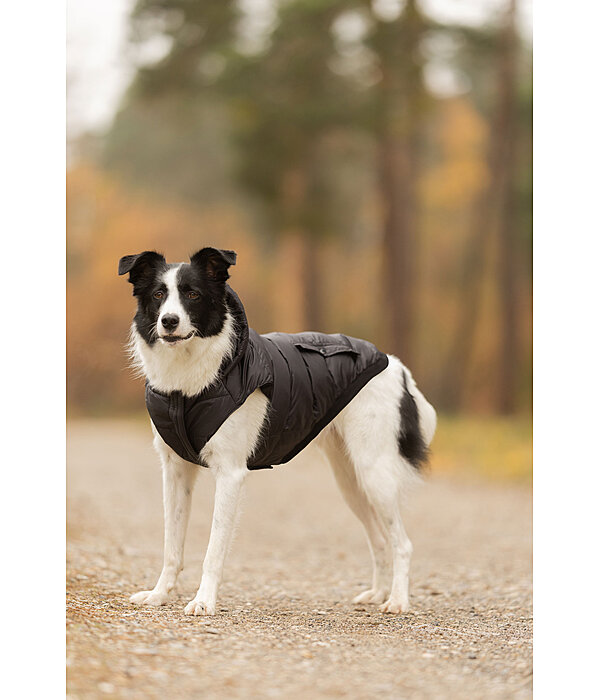 Hunde-Lightweight-Winterjacke Anton, 160 g