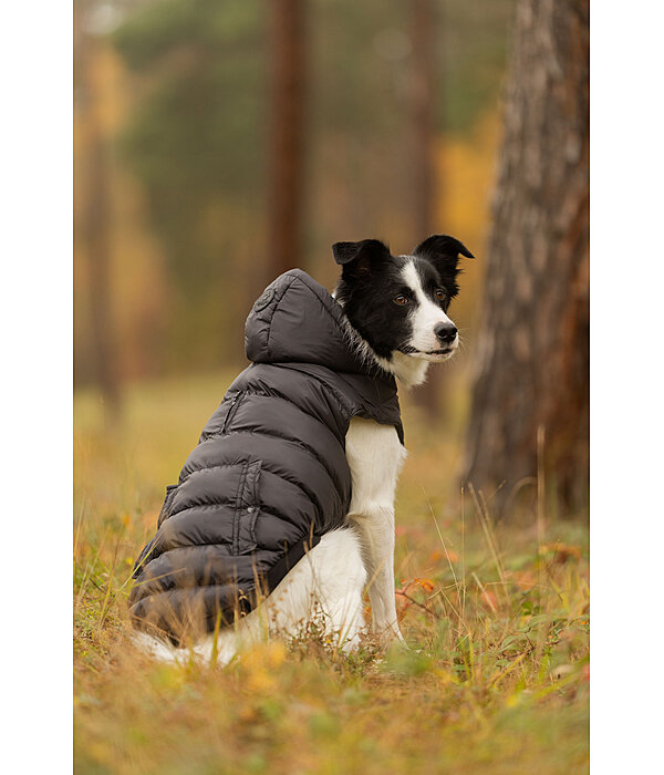 Hunde-Lightweight-Winterjacke Anton, 160 g