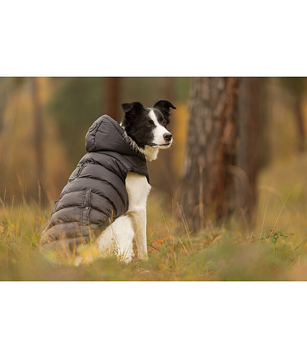 Hunde-Lightweight-Winterjacke Anton, 160 g