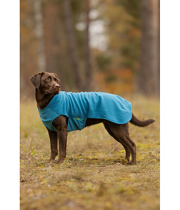 Hunde-Unterzieh- und Fleecepullover Basic