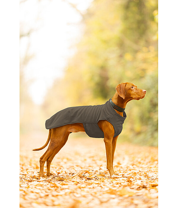 Hunde-Unterzieh- und Fleecepullover Basic