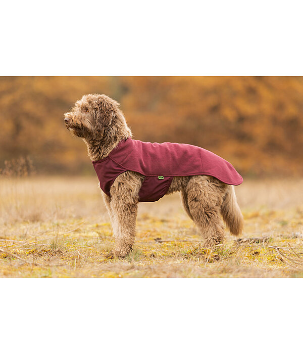 Hunde-Unterzieh- und Fleecepullover Basic
