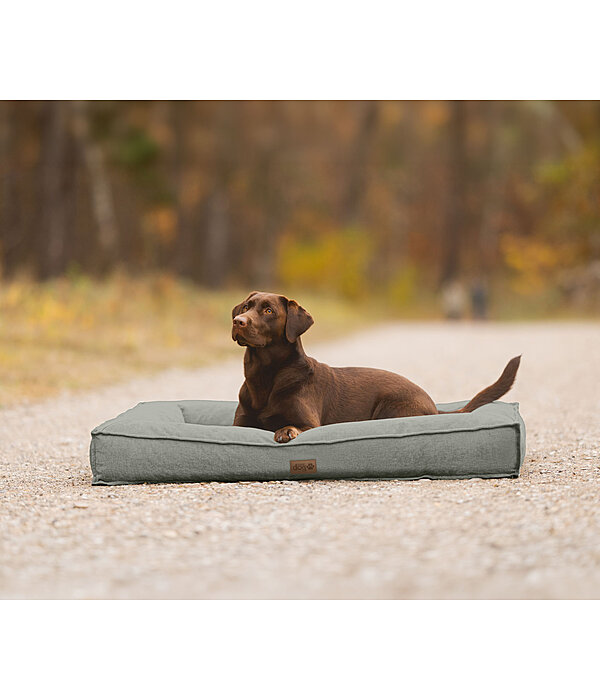 Hundebett Carlo